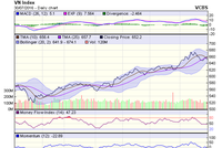 Biểu đồ kỹ thuật VN-Index. Nguồn: VCBS
