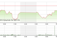 Phiên chiều 25/11: Cổ phiếu đầu cơ "náo loạn" thị trường
