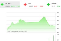 Phiên chiều 21/11: Bị chốt lời mạnh, VN-Index “đánh rơi” mất hơn 11 điểm