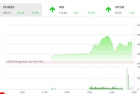 Phiên chiều 29/5: Sắc tím ngập tràn, VN-Index tăng hơn 20 điểm
