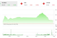 Phiên chiều 19/2: Xanh vỏ, đỏ lòng