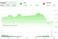 Phiên chiều 5/3: Áp lực gia tăng, VN-Index hạ độ cao