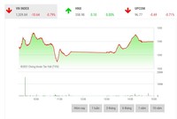 Giao dịch chứng khoán phiên chiều 21/9: Lực cầu nâng đỡ, VN-Index hãm đà rơi