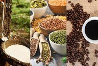 Thị trường hàng hóa thế giới tuần từ 16-23/8: Dầu tăng cao nhất 3 tuần, đậu tương lên cao nhất 2 tháng, cà phê chạm đỉnh gần 3 tháng