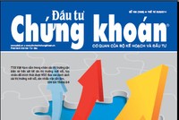 Đầu tư Chứng khoán số 100/2014