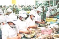 Xuất khẩu 6 tháng đầu năm chưa đạt mục tiêu kế hoạch