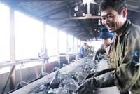 Cổ phiếu ngành than đã thu hút được sự quan tâm của nhiều nhà đầu tư trong và ngoài nước.