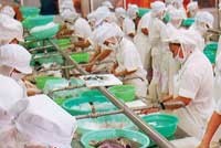 Nguy cơ “lũ lớn”