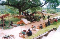 Chợ tỉnh, chợ quê…