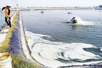 Một tỷ lệ khá lớn DN chưa được hưởng lợi từ các chính sách miễn giảm thuế của Nhà nước.