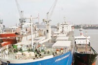 Cổ phiếu vận tải biển bắt đầu “nổi sóng”