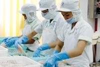 Sẽ có ít nhất 86% hàng nông - lâm - thủy sản của Việt Nam được hưởng ưu đãi về thuế khi xuất khẩu sang Nhật Bản.