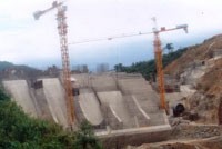 Quý IV, MCG dự kiến lợi nhuận sau thuế trên 20 tỷ đồng