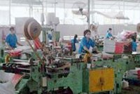 Sadico Cần Thơ đạt lợi nhuận 25 tỷ đồng 