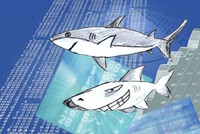 Cá mập gầy và cá mập đi thẩm mỹ