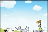 “Cuộc săn đuổi” trên đồng cỏ xanh