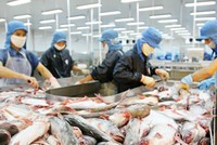 Không nên cho nhập khẩu những nguyên liệu mà Việt Nam có thế mạnh nuôi trồng.