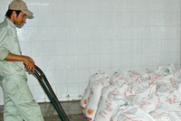 Quý III là thời gian mía đường Việt Nam vào vụ