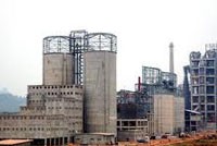 Không bồi thường mua bán CP Xi măng Hạ Long