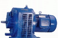 TH1 dự kiến lợi nhuận sau thuế cả năm đạt 61 tỷ đồng