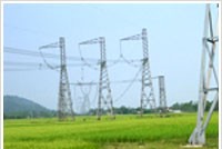 SSM đạt 3 tỷ đồng lợi nhuận sau thuế quý III