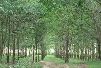 DLG hợp tác với ADM21 triển khai dự án 35 triệu USD 