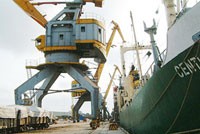 DXP chưa thể đánh giá tác động từ Nhật Bản