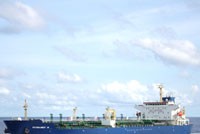 VIP dự kiến lợi nhuận trước thuế 112 tỷ đồng