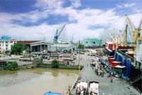 VGP: CTCP ANPHA đăng ký “lướt sóng“ cổ phiếu