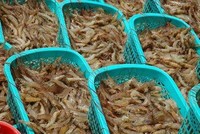 Ngành thủy, hải sản thiếu nguyên liệu chế biến
