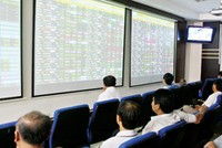 Khi dân chứng khoán thành “đười ươi giữ ống”!