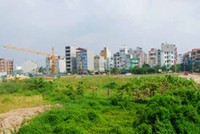 Một trong những phần đất bị để hoang trên địa bàn Hà Nội
