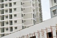 TNY và TTG trả cổ tức bằng tiền mặt