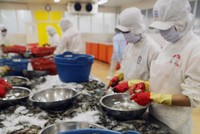 VN sẽ đấu tranh tích cực để bảo vệ các quyền lợi của nhà xuất khẩu