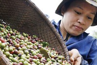 Sàn quốc tế tiếp thị doanh nghiệp Việt Nam