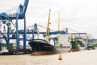 Thay vì mua bảo hiểm tín dụng để quản lý rủi ro, nhiều DN chọn cách tin vào bạn hàng.