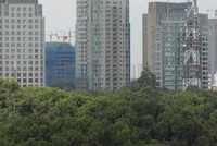 Giá bán căn hộ tại dự án của mình đang giảm mạnh, song nhiều ông chủ đầu tư thực sự vẫn có thể "rung đùi".