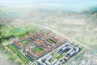 TNC1, chia cổ tức tỷ lệ 15%