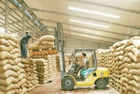 Theo thống kê của PlacementTracker, các cổ phiếu do Quỹ Haverstock Master Fund đầu tư đều giảm giá trung bình 54% sau một năm Quỹ này đầu tư