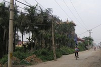 Một khu đất dịch vụ đang dành... nuôi cỏ ở An Khánh, Hoài Đức