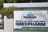 Thanh tra Chính phủ đề nghị Bộ Công an xử lý 6 công ty dược