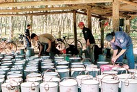 Xuất khẩu cao su sẽ co giãn mạnh