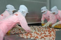FMC: Doanh thu tháng 2 đạt 6,3 triệu USD