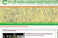 Doanh nghiệp lập lờ để trốn lỗ