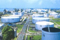 PIT: Cổ tức 2011 không bằng 1/2 kế hoạch