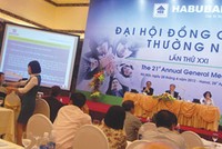 Habubank: Sáp nhập để tồn tại!