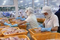 FMC: Thủy sản Út Xi đã bán thoái hết vốn