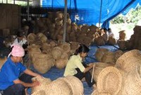 Thành viên hợp tác xã góp vốn tối đa không vượt quá 20%