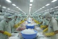 HVG: Sẽ vượt 10% kế hoạch lợi nhuận năm