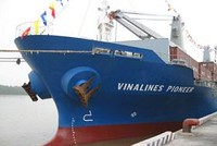 Chính phủ báo cáo Quốc hội về Vinalines